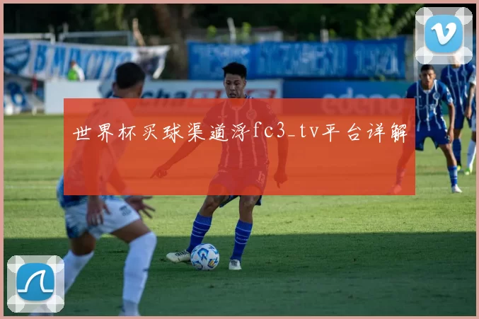 世界杯买球渠道浮fc3_tv平台详解