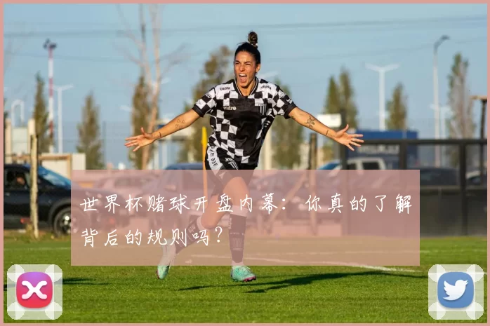 世界杯赌球开盘内幕:你真的了解背后的规则吗?