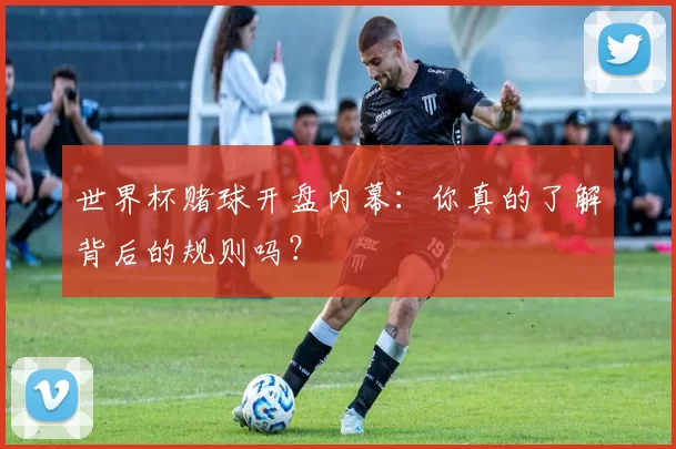 世界杯赌球开盘内幕:你真的了解背后的规则吗?