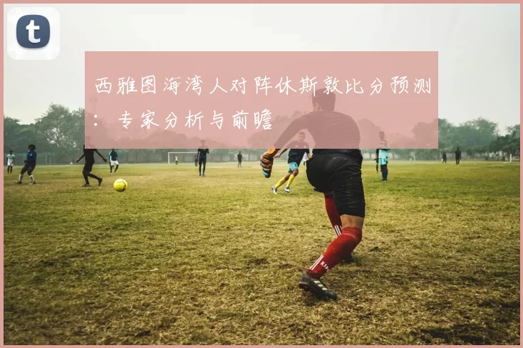 西雅图海湾人对阵休斯敦比分预测:专家分析与前瞻