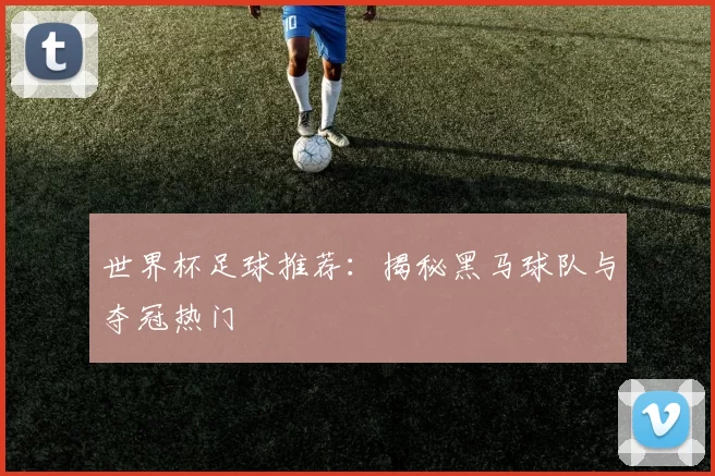 世界杯足球推荐:揭秘黑马球队与夺冠热门