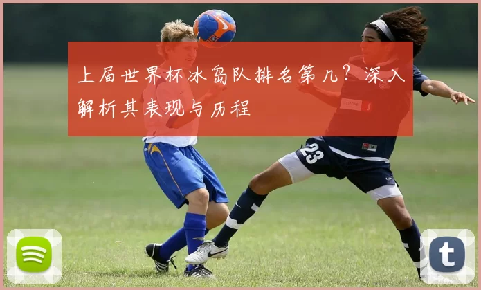 上届世界杯冰岛队排名第几？深入解析其表现与历程