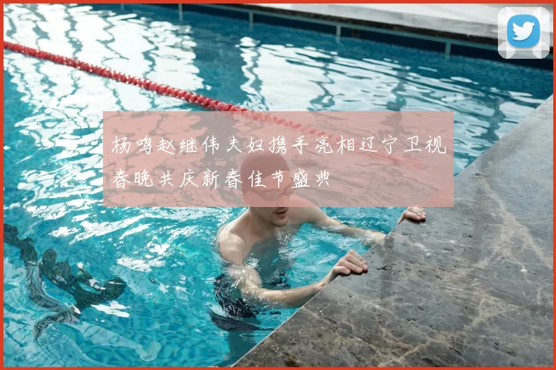 杨鸣赵继伟夫妇携手亮相辽宁卫视春晚共庆新春佳节盛典