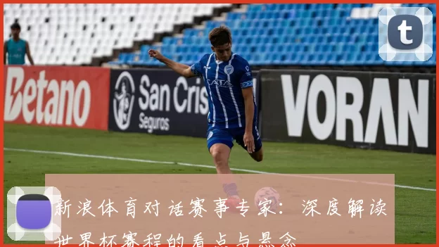 新浪体育对话赛事专家：深度解读世界杯赛程的看点与悬念