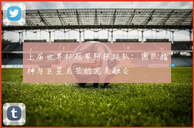 上届世界杯冠军阿根廷队：团队精神与巨星光芒的完美融合