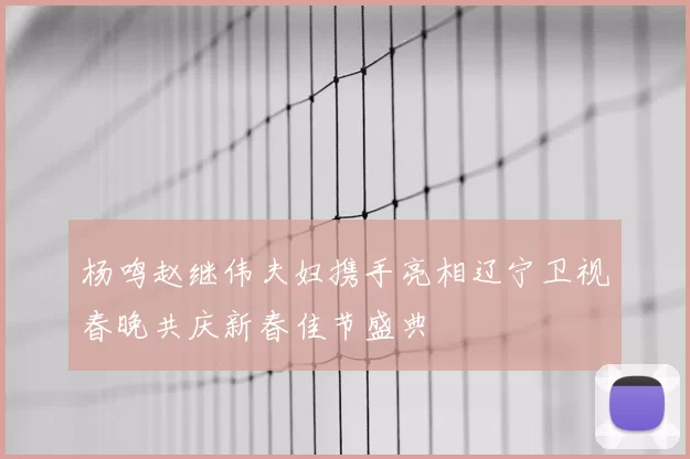 杨鸣赵继伟夫妇携手亮相辽宁卫视春晚共庆新春佳节盛典
