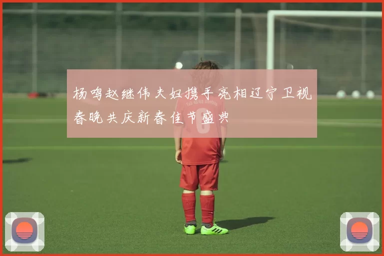 杨鸣赵继伟夫妇携手亮相辽宁卫视春晚共庆新春佳节盛典
