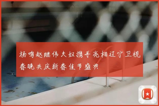 杨鸣赵继伟夫妇携手亮相辽宁卫视春晚共庆新春佳节盛典