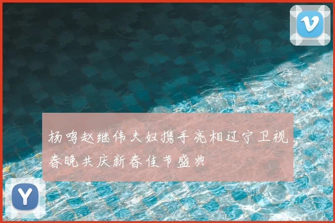 杨鸣赵继伟夫妇携手亮相辽宁卫视春晚共庆新春佳节盛典