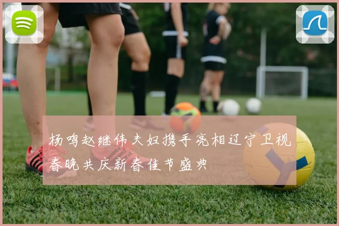 杨鸣赵继伟夫妇携手亮相辽宁卫视春晚共庆新春佳节盛典