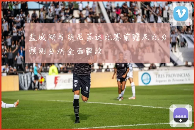 盐城湖与明尼苏达比赛前瞻及比分预测分析全面解读