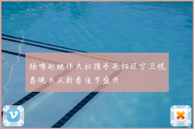 杨鸣赵继伟夫妇携手亮相辽宁卫视春晚共庆新春佳节盛典
