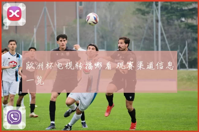 欧洲杯电视转播哪看 观赛渠道信息一览