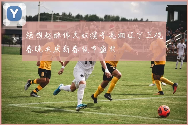 杨鸣赵继伟夫妇携手亮相辽宁卫视春晚共庆新春佳节盛典