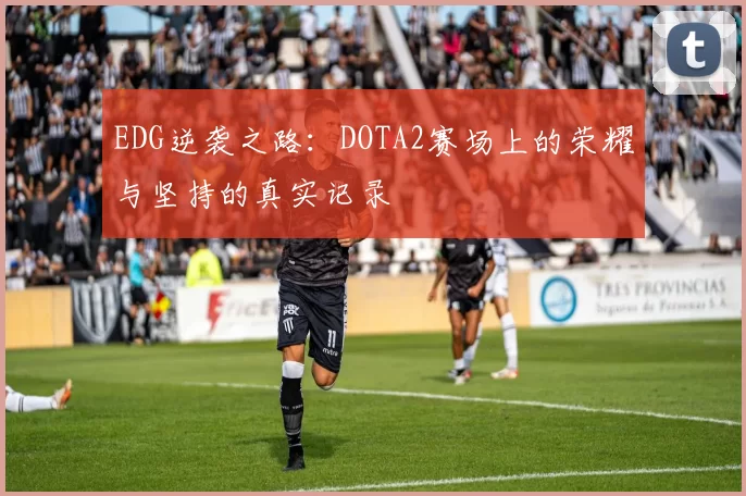EDG逆袭之路：DOTA2赛场上的荣耀与坚持的真实记录