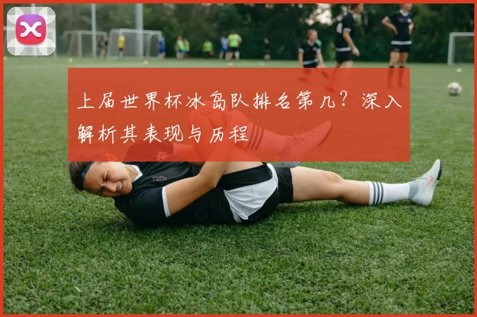 上届世界杯冰岛队排名第几?深入解析其表现与历程