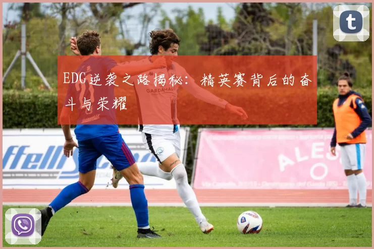 EDG逆袭之路揭秘：精英赛背后的奋斗与荣耀